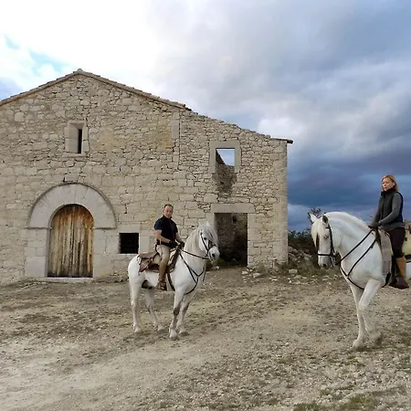 Casa Angelita *